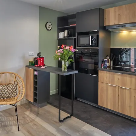 Appartamento Centre à Pied Appt Avec Sauna, Linge, Wifi, Stationnement Gratuit